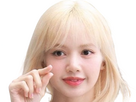 https://image.noelshack.com/fichiers/2024/25/2/1718728245-lisa-blackpink-blonde-4.png