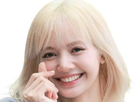 https://image.noelshack.com/fichiers/2024/25/2/1718728321-lisa-blackpink-blonde-5.png