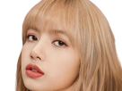 https://image.noelshack.com/fichiers/2024/25/2/1718728321-lisa-blackpink-blonde-7.png