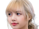 https://image.noelshack.com/fichiers/2024/25/2/1718728487-lisa-blackpink-blonde-14.png