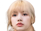 https://image.noelshack.com/fichiers/2024/25/2/1718728487-lisa-blackpink-blonde-16.png