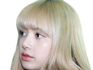 https://image.noelshack.com/fichiers/2024/25/2/1718729073-lisa-blackpink-blonde-17.png