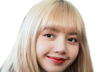 https://image.noelshack.com/fichiers/2024/25/2/1718729473-lisa-blackpink-blonde-29.png