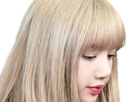 https://image.noelshack.com/fichiers/2024/25/2/1718729473-lisa-blackpink-blonde-30.png