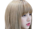 https://image.noelshack.com/fichiers/2024/25/2/1718729473-lisa-blackpink-blonde-31.png