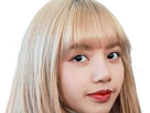 https://image.noelshack.com/fichiers/2024/25/2/1718729473-lisa-blackpink-blonde-32.png