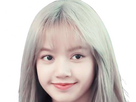 https://image.noelshack.com/fichiers/2024/25/2/1718729499-lisa-blackpink-blonde-34.png