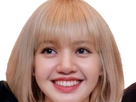 https://image.noelshack.com/fichiers/2024/25/2/1718729540-lisa-blackpink-blonde-38.png