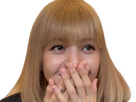 https://image.noelshack.com/fichiers/2024/25/2/1718729540-lisa-blackpink-blonde-39.png