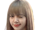 https://image.noelshack.com/fichiers/2024/25/2/1718729540-lisa-blackpink-blonde-40.png