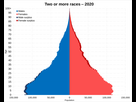 https://image.noelshack.com/fichiers/2024/25/6/1719055883-1920px-two-or-more-races-population-pyramid-in-2020-svg.png