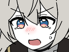 https://image.noelshack.com/minis/2024/26/3/1719412587-cry.png
