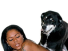 https://www.noelshack.com/2024-26-7-1719776066-1483709930-chien-master-race.jpg