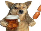 https://image.noelshack.com/fichiers/2024/27/1/1719800494-chien5.png