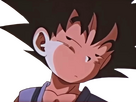 https://image.noelshack.com/minis/2024/27/1/1719850156-goku-t-as-cru-gt-teube.png