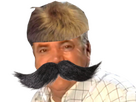 https://image.noelshack.com/fichiers/2024/27/1/1719863110-s-lectionmoustache.png