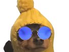 https://www.noelshack.com/2024-27-4-1720084238-full-27.png