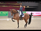 https://www.noelshack.com/2024-27-6-1720252113-31dressage-1.jpg