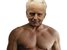 https://image.noelshack.com/fichiers/2024/27/6/1720278054-sheev-palprotein-1.png