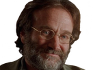 https://image.noelshack.com/fichiers/2024/27/7/1720305788-cd-robin-williams-2.png