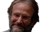 https://image.noelshack.com/fichiers/2024/27/7/1720305929-cd-robin-williams-11.png