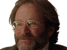 https://image.noelshack.com/fichiers/2024/27/7/1720305954-cd-robin-williams-13.png