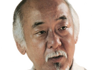 https://image.noelshack.com/fichiers/2024/27/7/1720309110-e-pat-morita-3.png