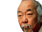 https://image.noelshack.com/fichiers/2024/27/7/1720309110-e-pat-morita-4.png