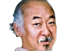https://image.noelshack.com/fichiers/2024/27/7/1720309208-e-pat-morita-9.png