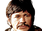 https://image.noelshack.com/fichiers/2024/27/7/1720309401-em-charles-bronson-4.png