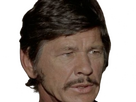 https://image.noelshack.com/fichiers/2024/27/7/1720309506-em-charles-bronson-10.png