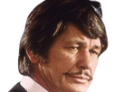 https://image.noelshack.com/fichiers/2024/27/7/1720309506-em-charles-bronson-11.png