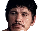 https://image.noelshack.com/fichiers/2024/27/7/1720309580-em-charles-bronson-15.png