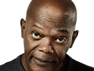 https://image.noelshack.com/fichiers/2024/27/7/1720312554-ms-samuel-l-jackson-8.png