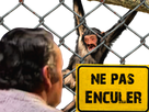 https://www.noelshack.com/2024-27-7-1720375255-1653242652-cash-dans-le-chimpanzard.png