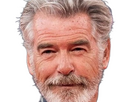 https://image.noelshack.com/fichiers/2024/28/1/1720394519-pg-pierce-brosnan-3.png