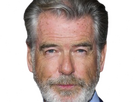 https://image.noelshack.com/fichiers/2024/28/1/1720394636-pg-pierce-brosnan-9.png