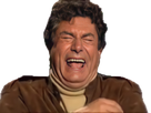 https://www.noelshack.com/2024-28-1-1720436109-full-10.png