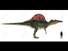 https://www.noelshack.com/2024-28-1-1720439183-13940327-illustration-d-une-comparaison-de-la-taille-d-une-esp-ce-de-dinosaures-adultes-spinosaurus-avec-un.jpg