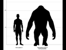 https://www.noelshack.com/2024-28-1-1720439647-gigantopithecus-size-comparison.png