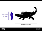 https://www.noelshack.com/2024-28-1-1720439668-taille-de-comparaison-entre-ankylosaurus-et-humain-illustration-de-la-silhouette-du-corps-ankylosaurus-par-rapport-au-corps-humain-2g69xfn.jpg