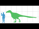 https://www.noelshack.com/2024-28-1-1720440015-utahraptor-scale.png