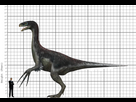 https://www.noelshack.com/2024-28-1-1720440023-my-therizinosaurus-size-comparison-by-ethanthomas2022-dg7sta9-fullview.jpg