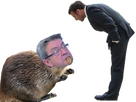 https://www.noelshack.com/2024-28-1-1720456899-merluchecastor.png