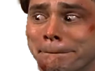 https://www.noelshack.com/2024-28-1-1720465798-1529792602-jimcarreymentristeright.png
