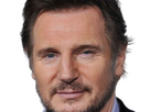 https://image.noelshack.com/fichiers/2024/28/4/1720654735-sm-liam-neeson-9.png