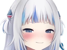 https://image.noelshack.com/fichiers/2024/28/4/1720671822-img-1330.png