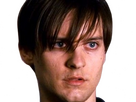 https://image.noelshack.com/fichiers/2024/28/6/1720876358-bully-maguire-16.png