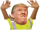 https://www.noelshack.com/2024-28-7-1720944026-trump.png