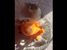 https://image.noelshack.com/minis/2024/29/1/1721050353-1000004699.png